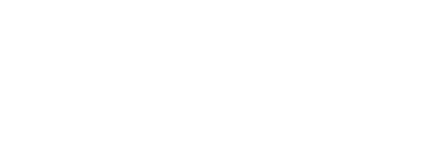 Sporti
